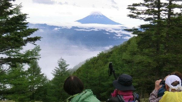 富士山をのぞむ。