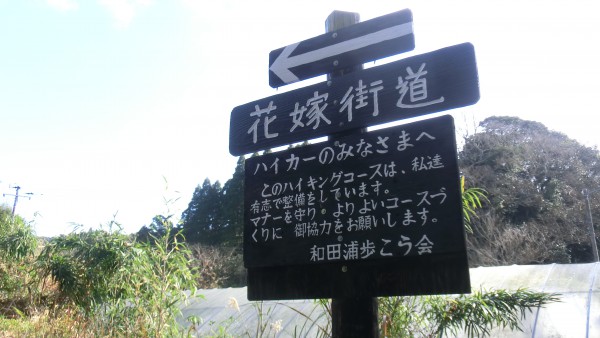 千葉県の山はこの花嫁街道（新・日本百名山）やら、この時期楽しめる沢登りなど色々とあり、低山だけあって冬場でも雪のない山がいっぱいあるんですヨ。 