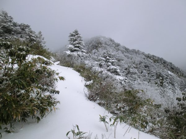 山頂は近いのですが、朝の快晴がウソのようにガスがどんどん出てきました。また冬型が強まったようです。