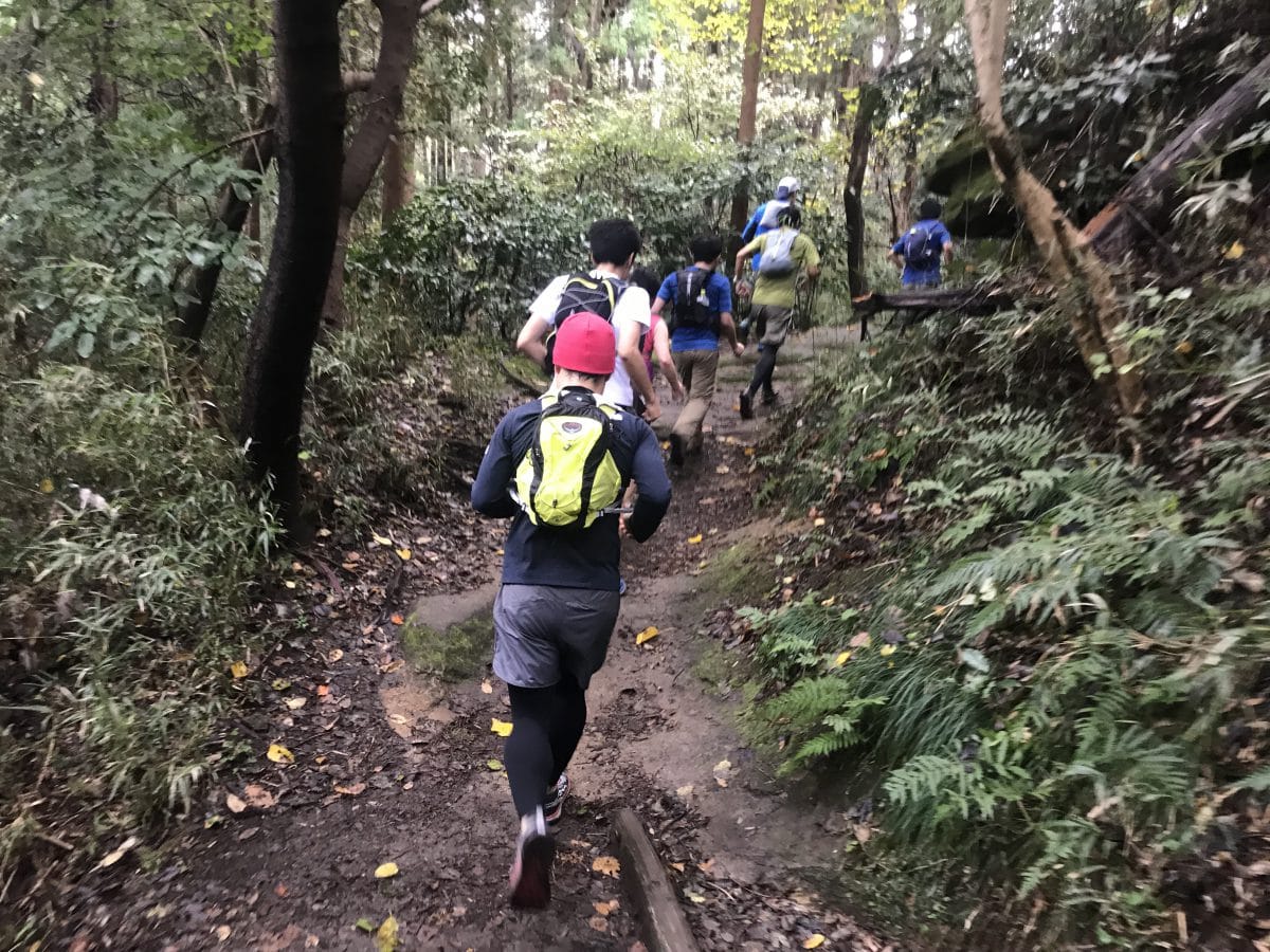 11月10日かもよこ朝トレラン 北鎌倉駅 六国見山 天園 港南台駅 カモシカ ブログ 登山用品専門店カモシカスポーツ