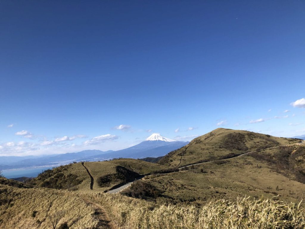 伊豆山稜線トレイルランニング カモシカ ブログ 登山用品専門店カモシカスポーツ
