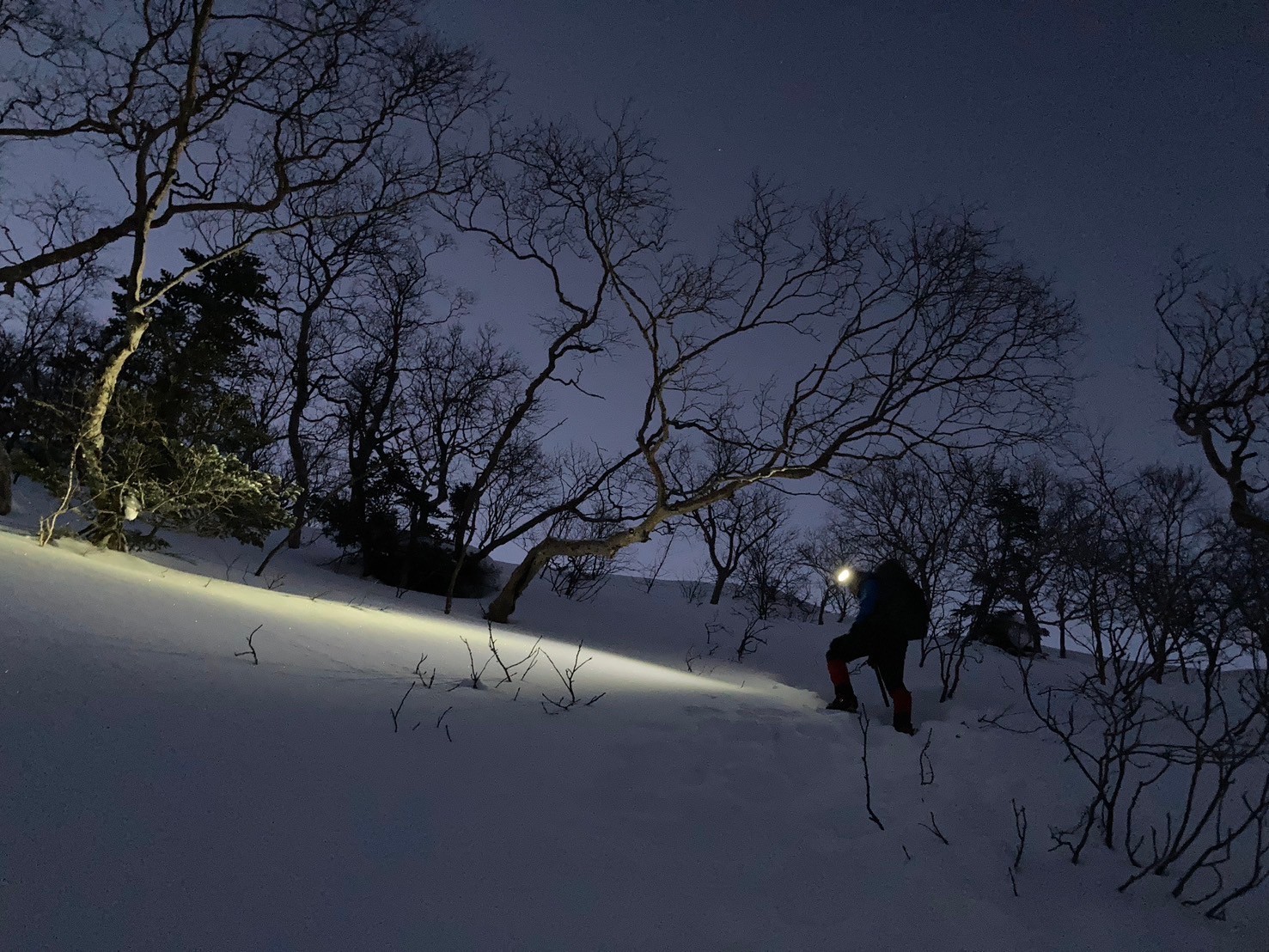 仙丈ヶ岳地蔵尾根夜明け前に急傾斜地を稜線に向けて登る