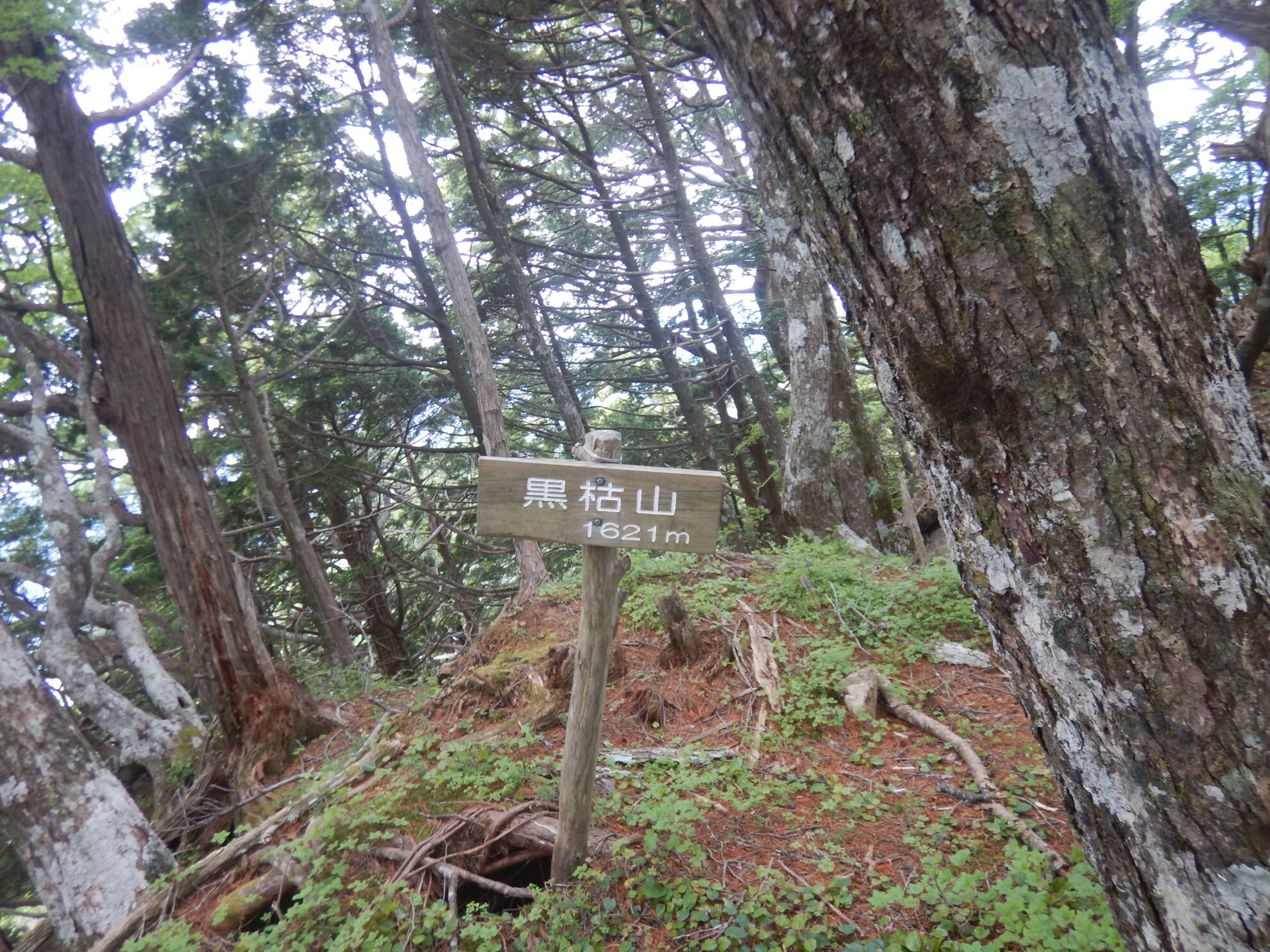 大無間黒枯山