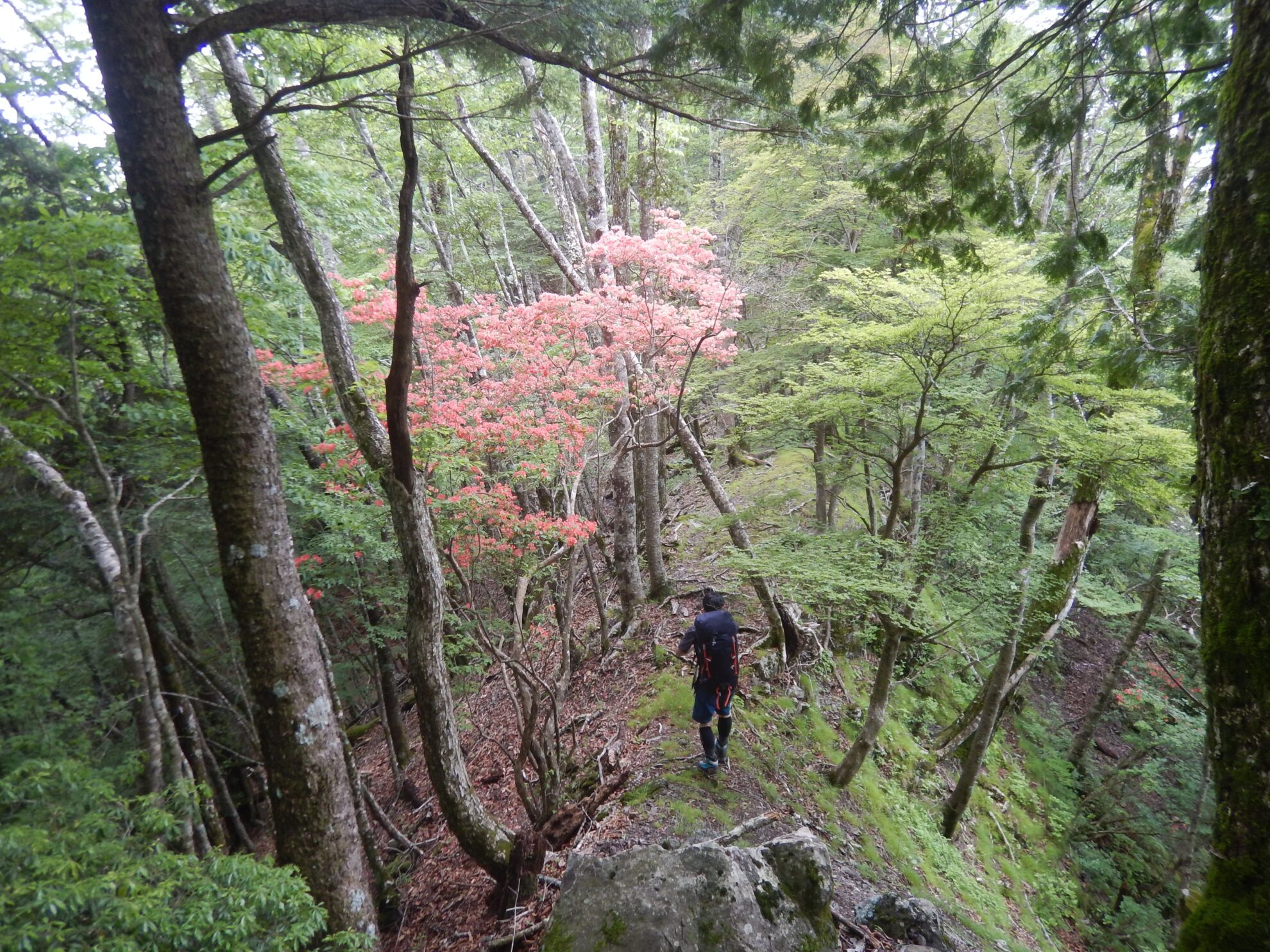 大無間終盤栗代山手前