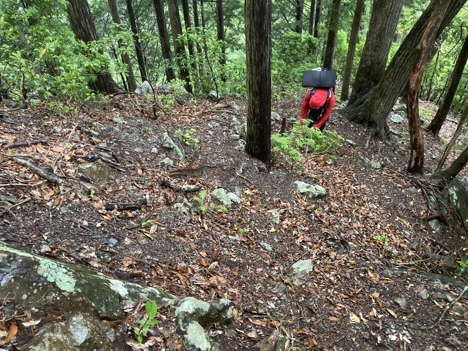 大無間朝日トンネルすぐの急登