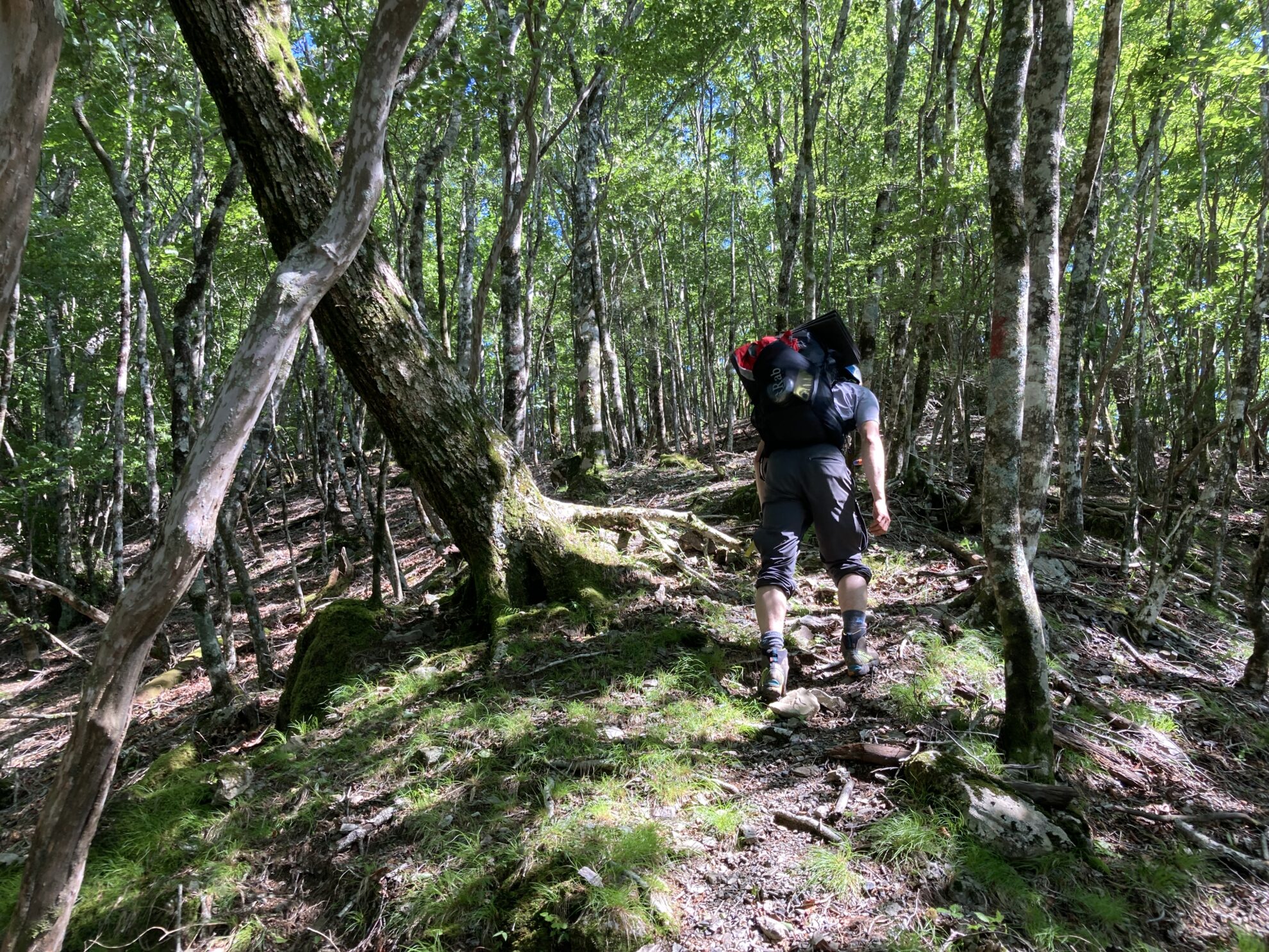 大無間栗代山登り