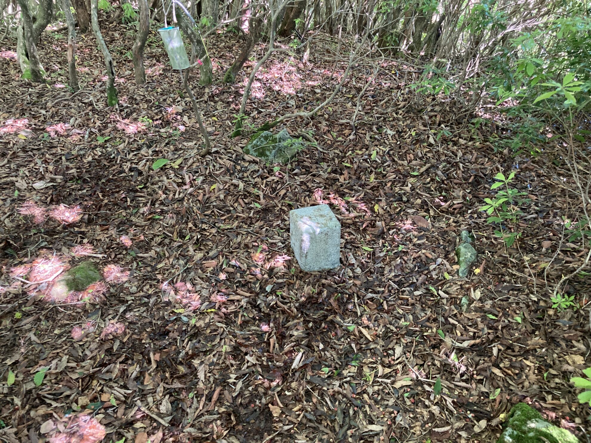 大無間栗代山三角点