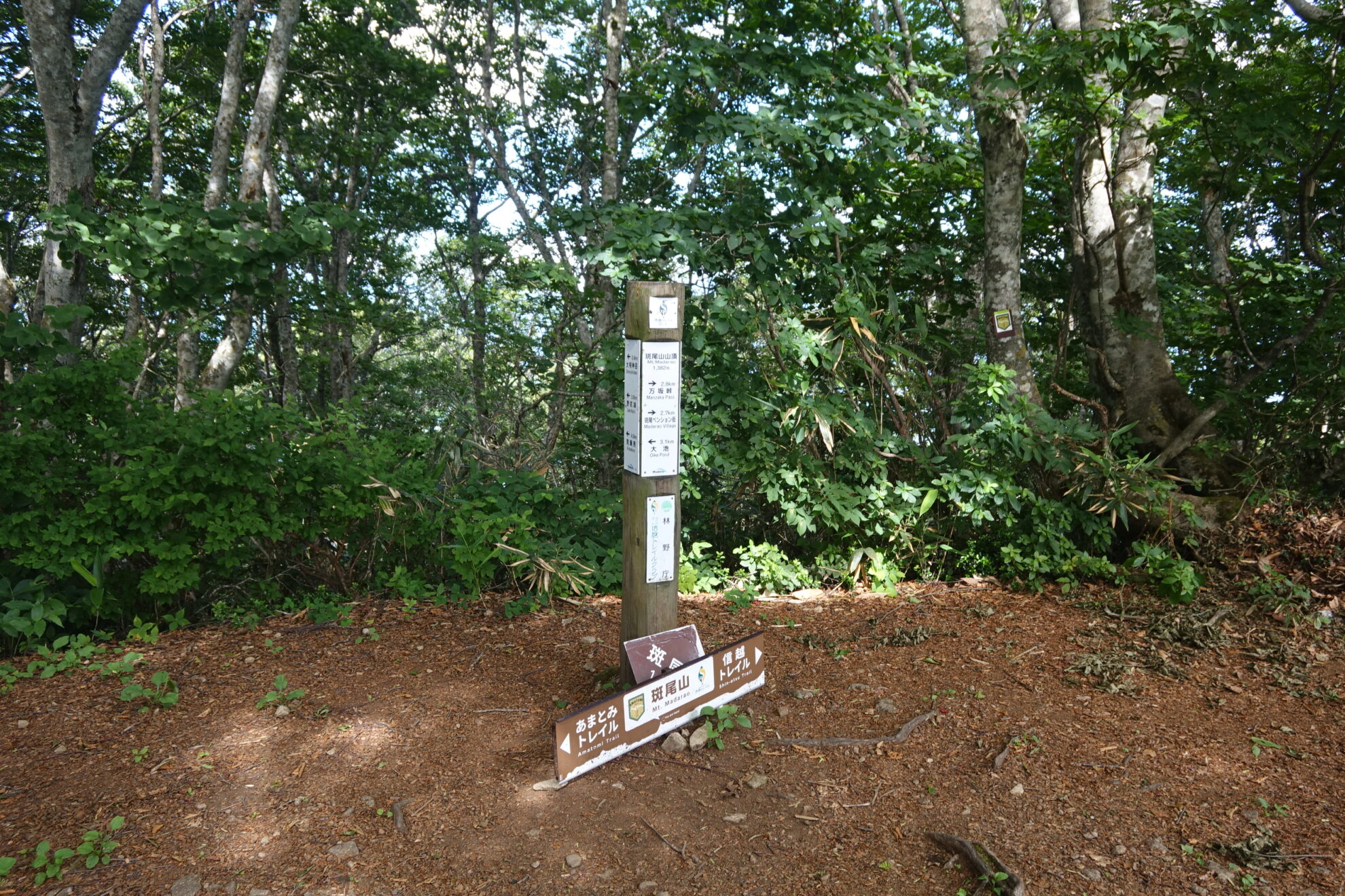 信越トレイル斑尾山山頂