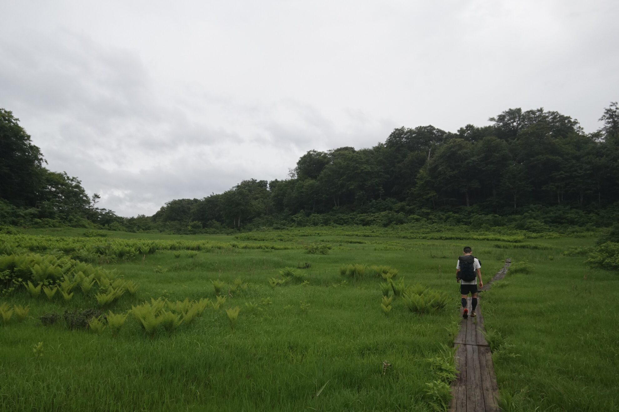 信越トレイル野々海