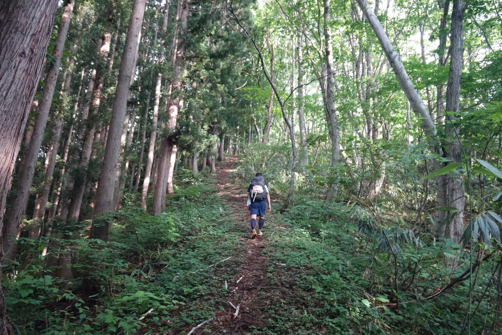 信越トレイル秋山郷のちょい古道