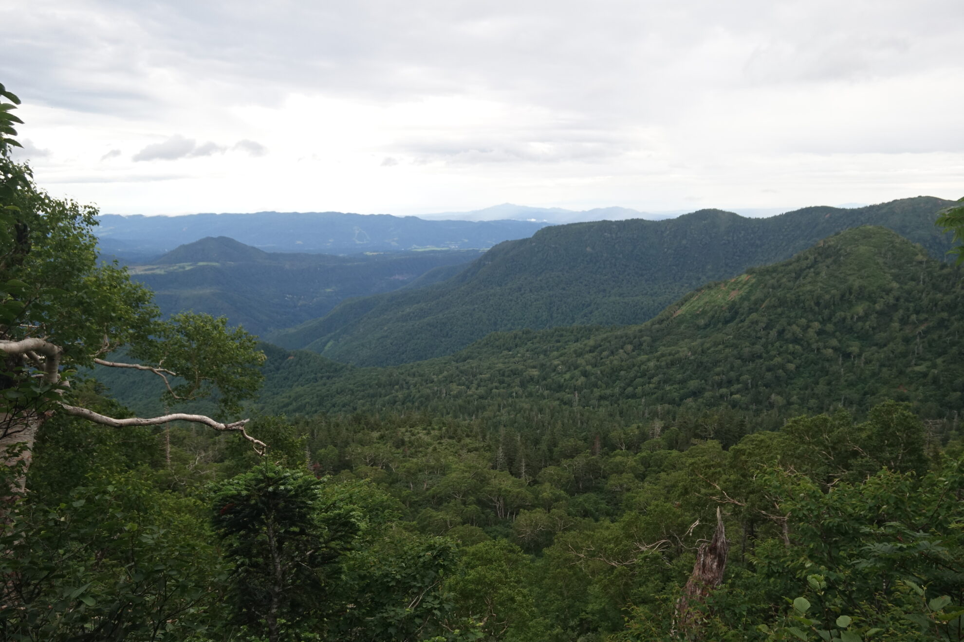 信越トレイル苗場山登り遠景ガス