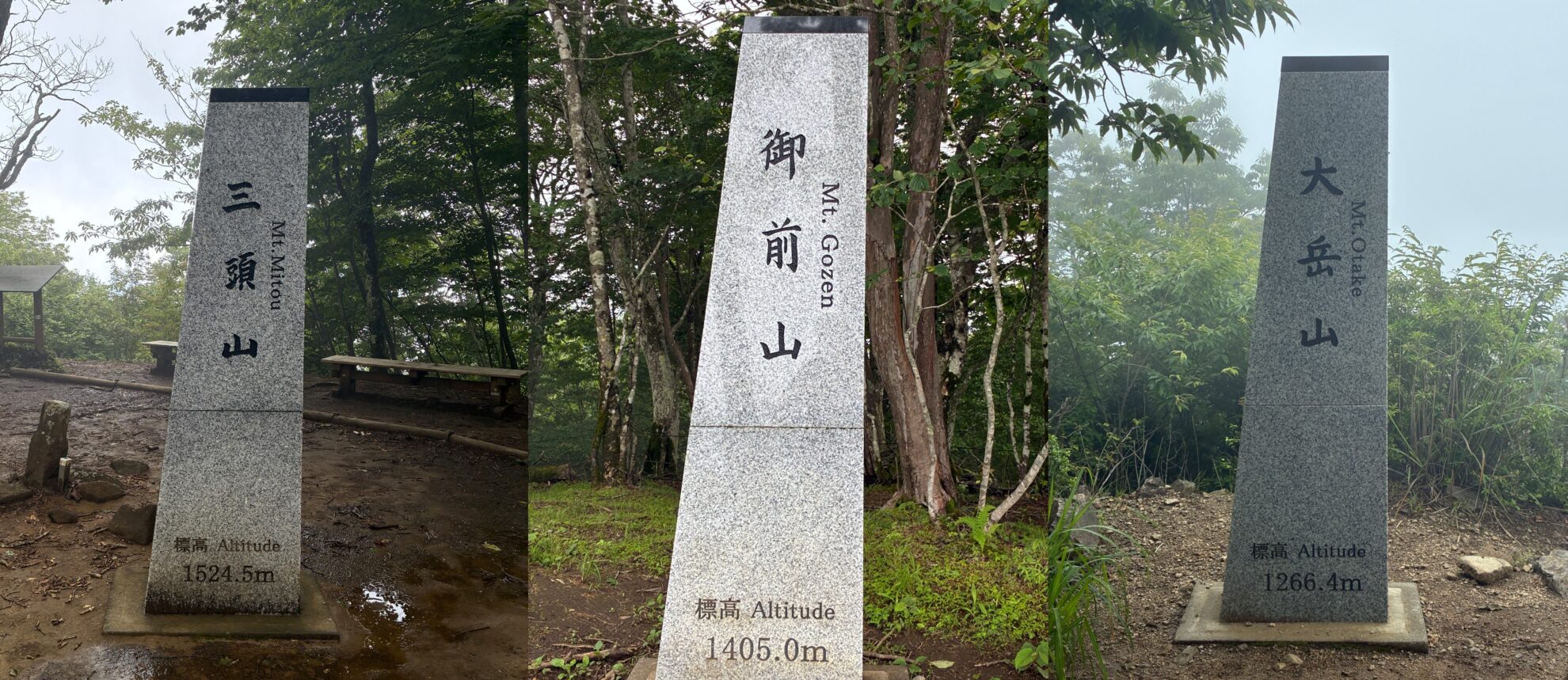 2026トレ奥多摩三山