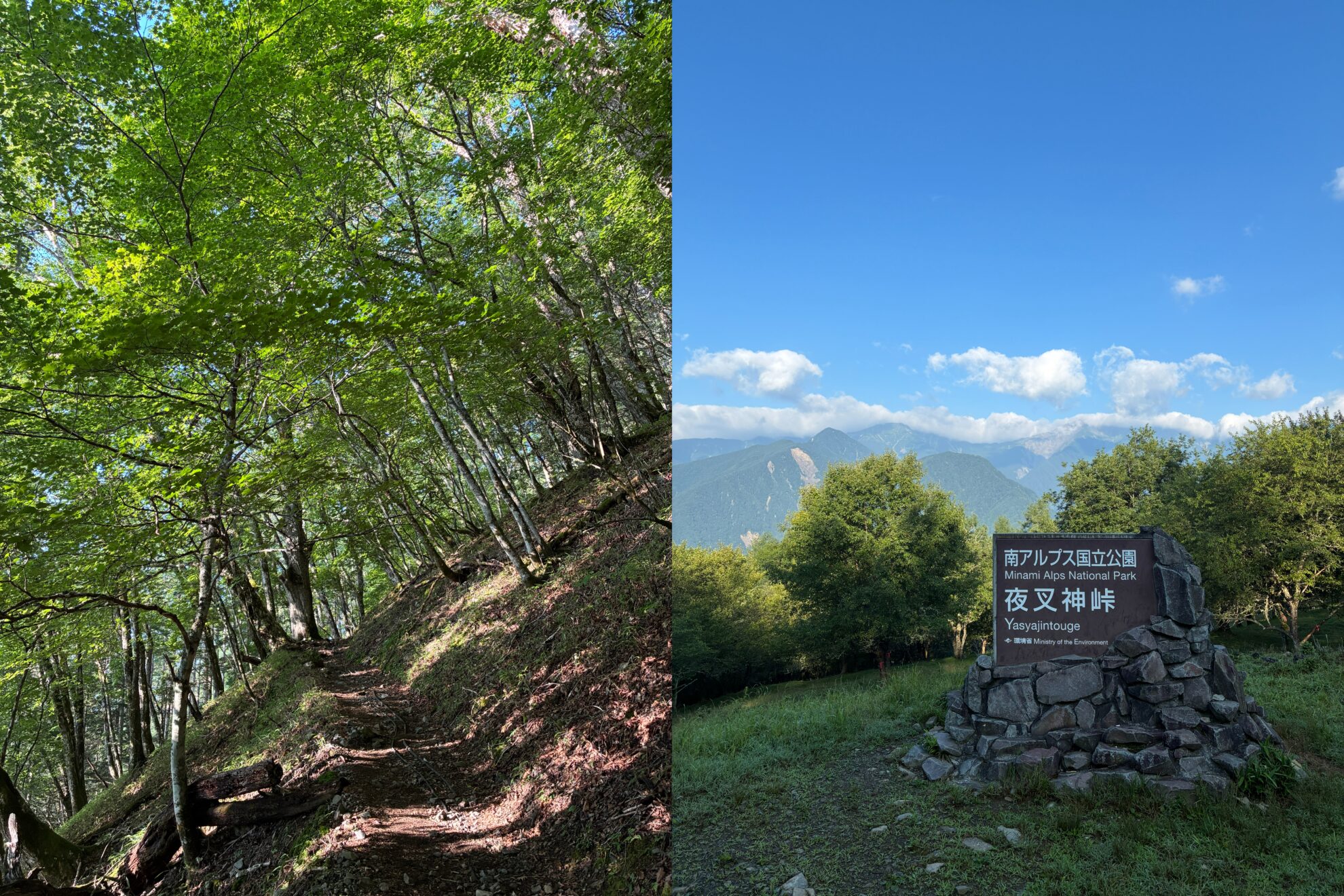 続南ア夜叉神峠登り