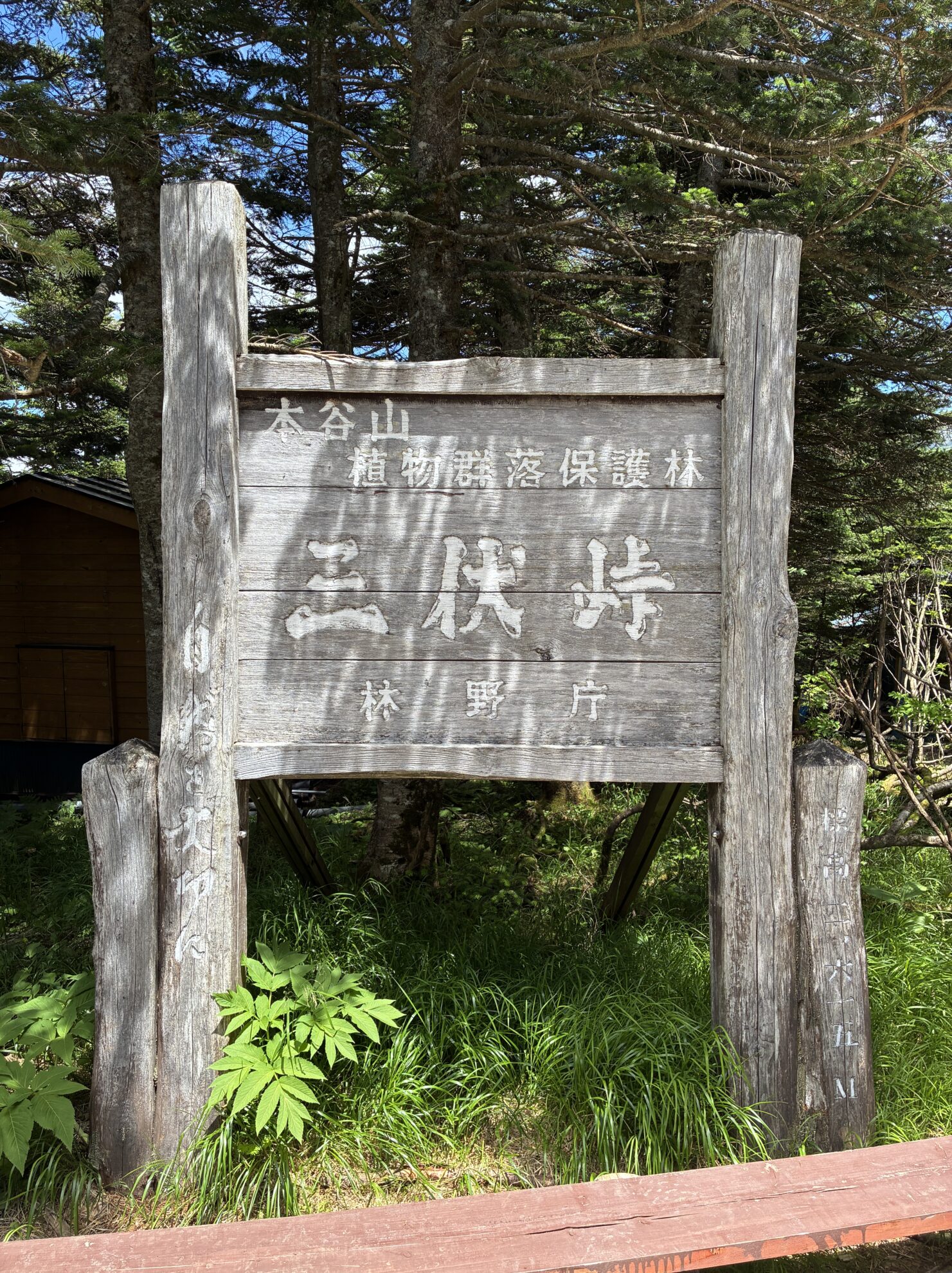続南ア三伏峠