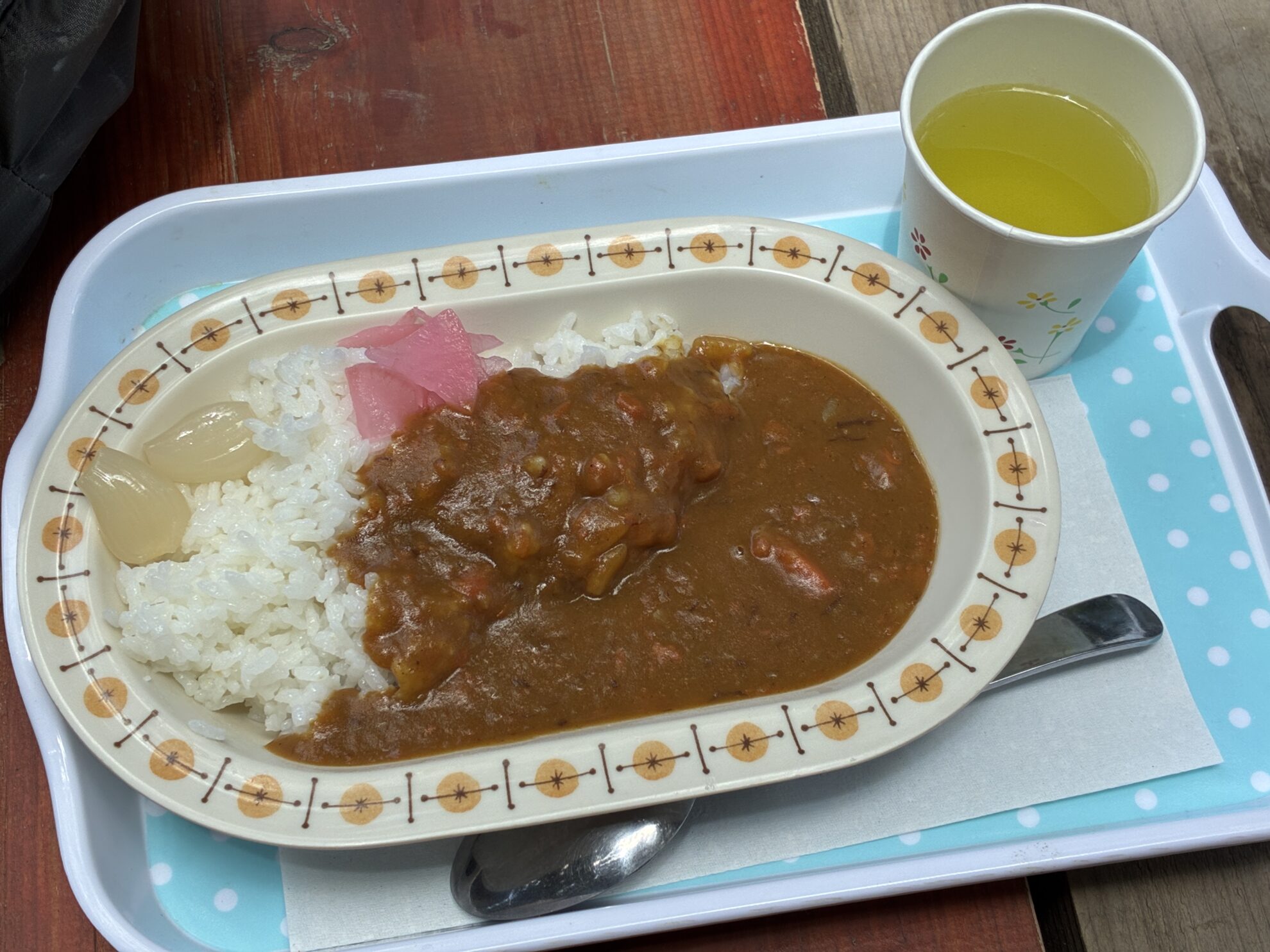 続南ア三伏峠カレー